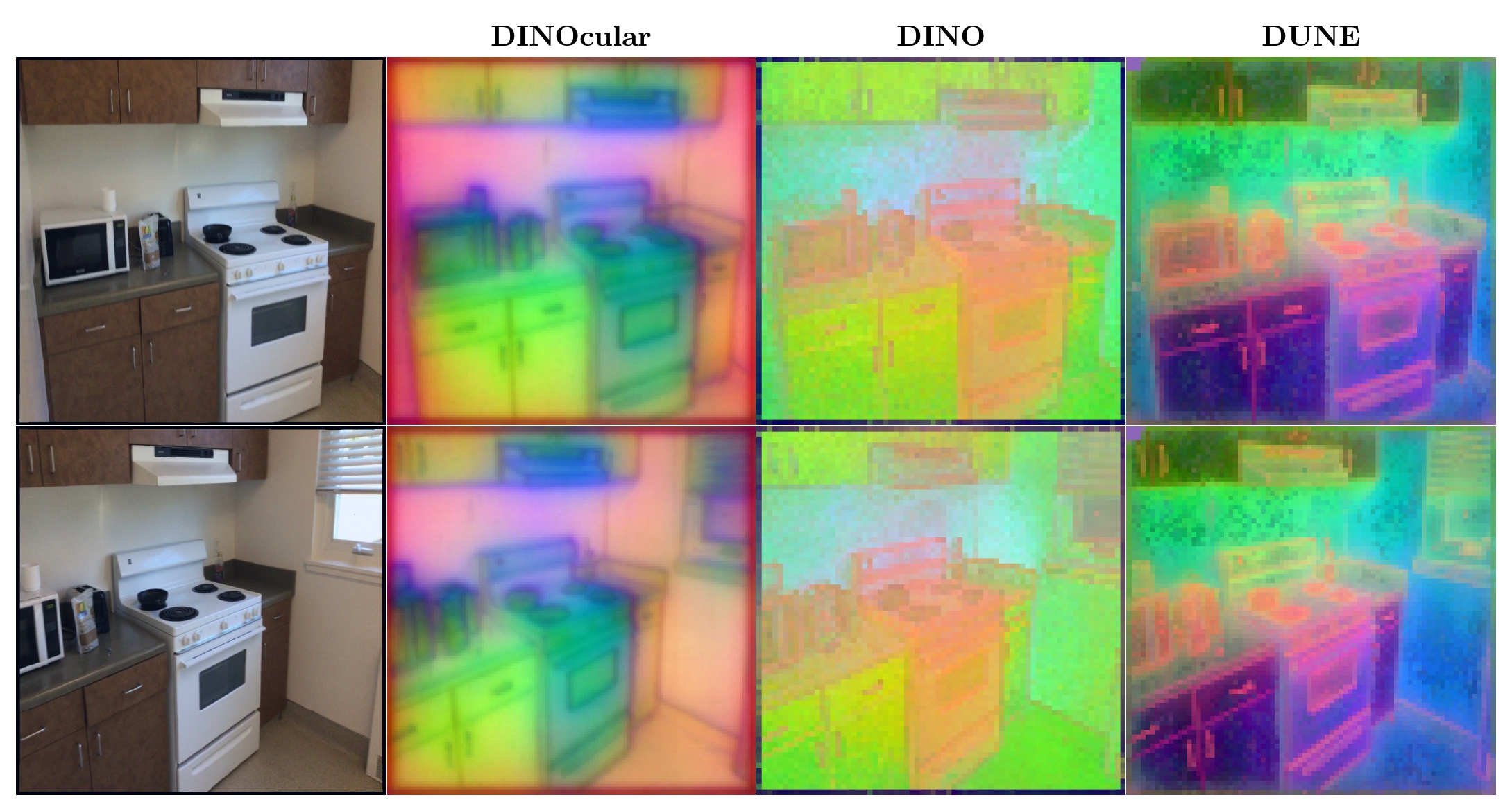 DINOcular