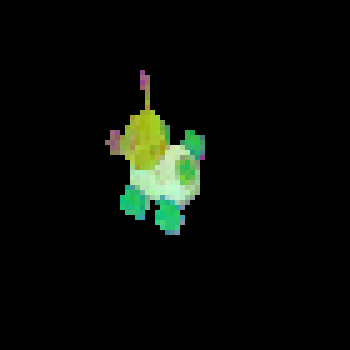 PCA features, DINO view 2